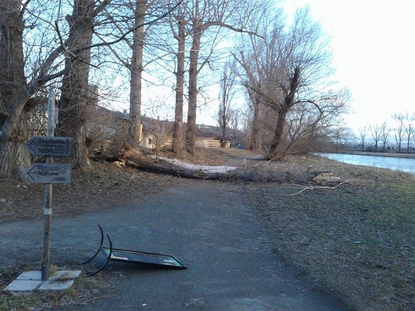 Spadlé stromy na cyklostezce, 24.2.2017