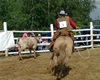 Velké radotínské rodeo 22.5.2010 - a tady?<br />Foto: Ing. P. Jirásek