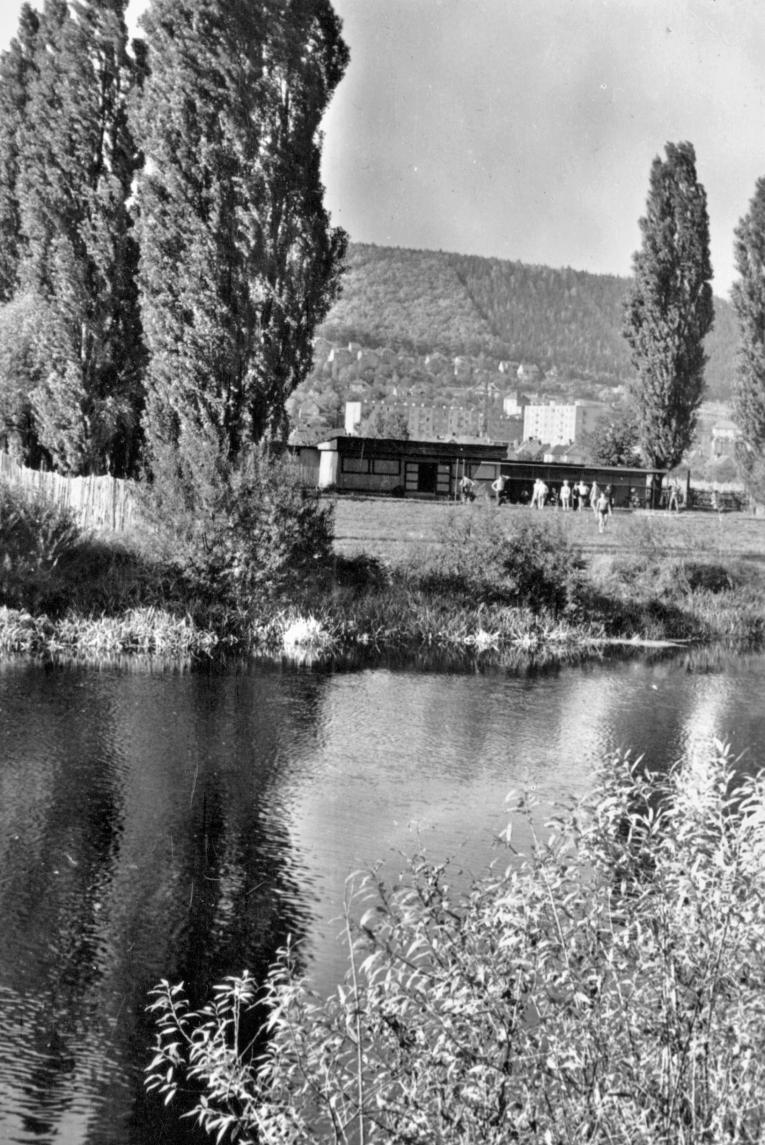 Spa 1950 Spa 1950