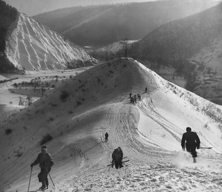 Skiing Skiing