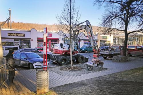 Přesun lípy od nádraží do ulice K Cementárně, 5.3.2025