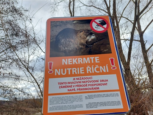 "Nekrmte nutrie!" Tyto cedule najdete okolo řeky v&nbsp;Radotíně. 