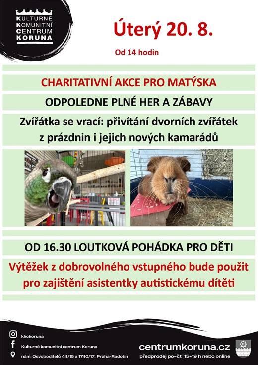 Charitativní odpoledne pro&nbsp;Matýska