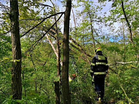 Hasiči odstraňují nebezpečné a popadané stromy na Naučné stezce Radotín, 16.4.2024