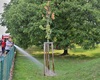 Dobrovolní hasiči zalévají stromy; 14.8.2023