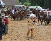 Velké radotínské rodeo o senátorský pohár, 23.5.2015