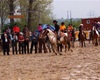 Velké Radotínské rodeo, 4.5.2013
