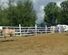 Velké radotínské rodeo 22.5.2010<br />Foto: Ing. P. Jirásek