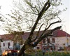 Kácení stromu v akutním havarijním stavu, 16.9.2020