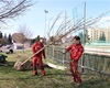 Začalo sázení nových stromů v Radotíně, 9.4.2021